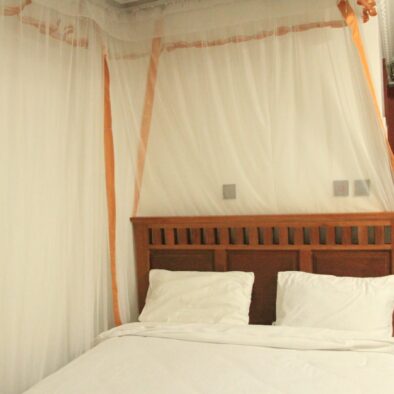 WhatsApp Image 2026-03-08 at 8.20.17 AM